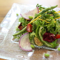 ・季節野菜・鎌倉野菜のサラダ トリュフドレッシング
