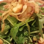 kunsei lover fumo - 香る！パクチー＆ハーブのサラダ