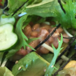 ネオ ガーデン カフェ - コラーゲン納豆