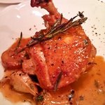 カッフェ アロマティカ - 