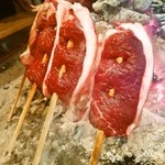 柳家 - 子供の日本鹿