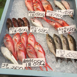 御前崎海鮮なぶら市場 - 店内魚売り場。