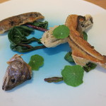 アマゴとツルムラサキ