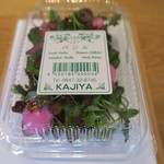 リストランテ ナカモト - サラダ　ハーブ新芽　パックの再現