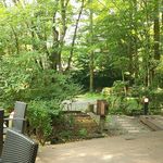 マジカメンテ ビバッコ - 