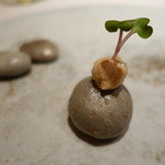 ルカンケ - パンとリエット