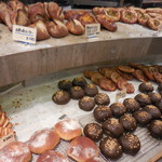 たま木亭 - たま木亭 移転オープン 宇治（京都）