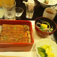 割烹 蒲焼 大沼 - 最後はうな重で〆