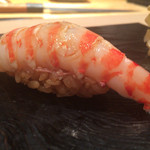 鮨 とかみ - 2015/8_車海老