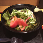 釜あげうどん はつとみ - サラダうどん