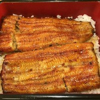 満寿家 - うなぎびっちり