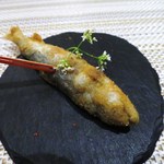 SUGALABO - 稚鮎の唐揚げ
      