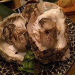 寿司ろばた 八條 - 牡蠣ステーキ！
