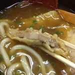 うどん蔵ふじたや - 豚天カレーうどん(1080円)豚天リフト