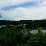さくらんぼ山観光農園 - 小高い山からの景色。