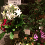 リストランテ エッフェ - 