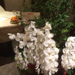 リストランテ エッフェ - 