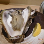 魚ひろ - 岩ガキ