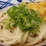 Marugame Seimen - ぶっかけ並 (冷)