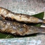 三代目 まる天 - 目刺し（1本300円）