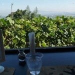 クイーン クック カフェ - 景色を見ながらの食事は贅沢ですね。