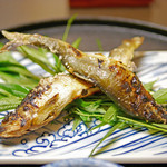 と村 - 白神山地赤石川の金鮎の塩焼き...ひとり２尾！