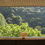 藤井荘 - ロビーより新緑の松川渓谷を望む。