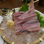 牧野 - 鯵の刺身