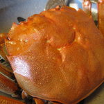 飴源 - ツガニ(モクズガニ)