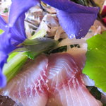 飴源 - 鯉の洗い