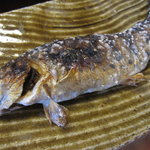 飴源 - 取り分けて・・・塩焼き、最高です(＾＾