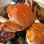 飴源 - ツガニを食べに行きました