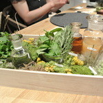 フロリレージュ - モヒート造り