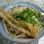 讃岐うどん がもう - 天ぷらとうどんです♪