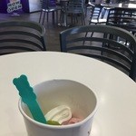 yogurtland - 
