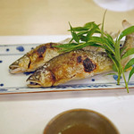 赤坂 詠月 - 四万十川の源流の北川川（ほっかわがわ）産の鮎（奥）と秋田の長木川（ながきがわ）産の鮎（手前）