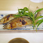 赤坂 詠月 - 四万十川の源流の北川川（ほっかわがわ）産の鮎（奥）と秋田の長木川（ながきがわ）産の鮎（手前）