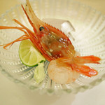 赤坂 詠月 - コチとボタン海老のお造り