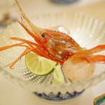 赤坂 詠月 - コチとボタン海老のお造り