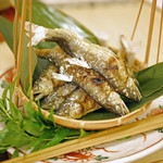 赤坂 詠月 - 四万十川の源流の北川川（ほっかわがわ）産の鮎（上）と秋田の長木川（ながきがわ）産の鮎（下）