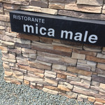 mica male - 