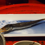 草喰 なかひがし - めざし　こんな美しいめざし見たことがない