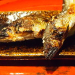 草喰 なかひがし - 鮎アップ