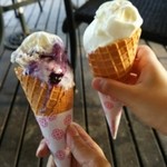 里山ファーム - 右がフレッシュミルク、左がブルーベリー