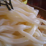 田舎うどん てつ - 2006年5月　うどん　アップ