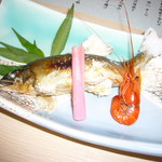 日本料理 みつき - お魚さん！
