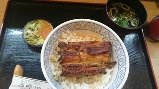 Miyagawa Ooimachi - ランチのうな丼