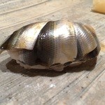 鮨　かねさか - 新子