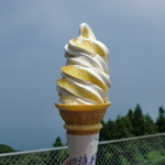 Ikata Jakoten - 栗のソフトクリームです♪