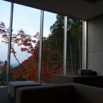 茶房　わらび野 - カップルで見る紅葉も素敵ですね。
      今度は誰かさんと来たいな～